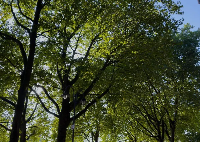 Schlachte-studio No5 * Bremen